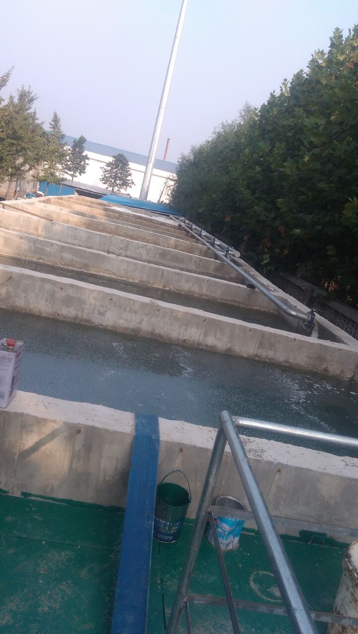 臨沂市瑞發德食品加工廢水處理工程