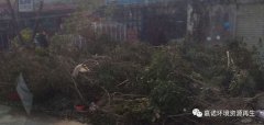 超強臺風災害后垃圾處理，援助第1站：惠州
